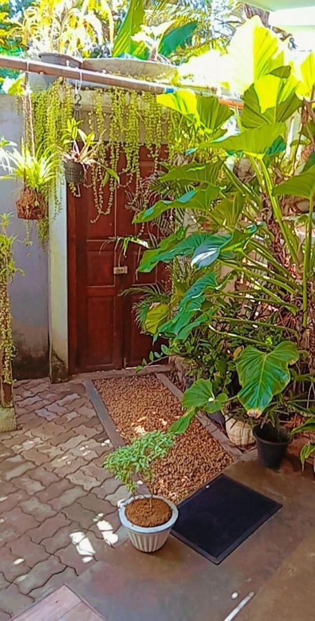 Hotel Shady Edge Unawatuna Esterno foto